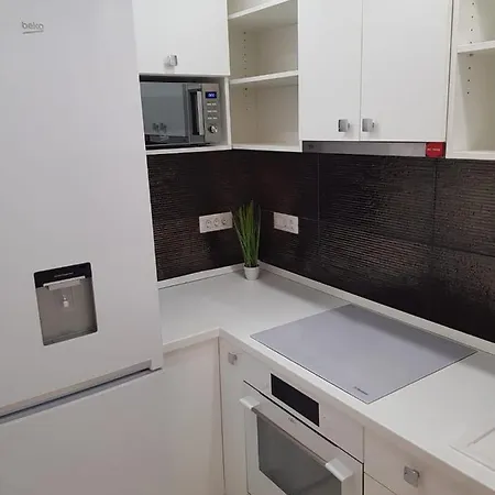 Apartament Top Design In Inima Timisoarei *